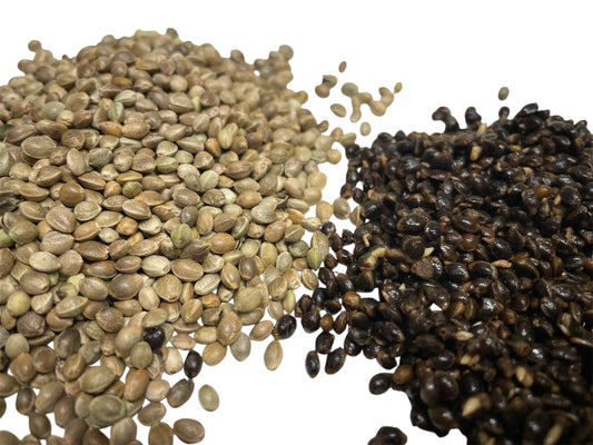 MPW BIG HEMP & MATCH FEED HEMP