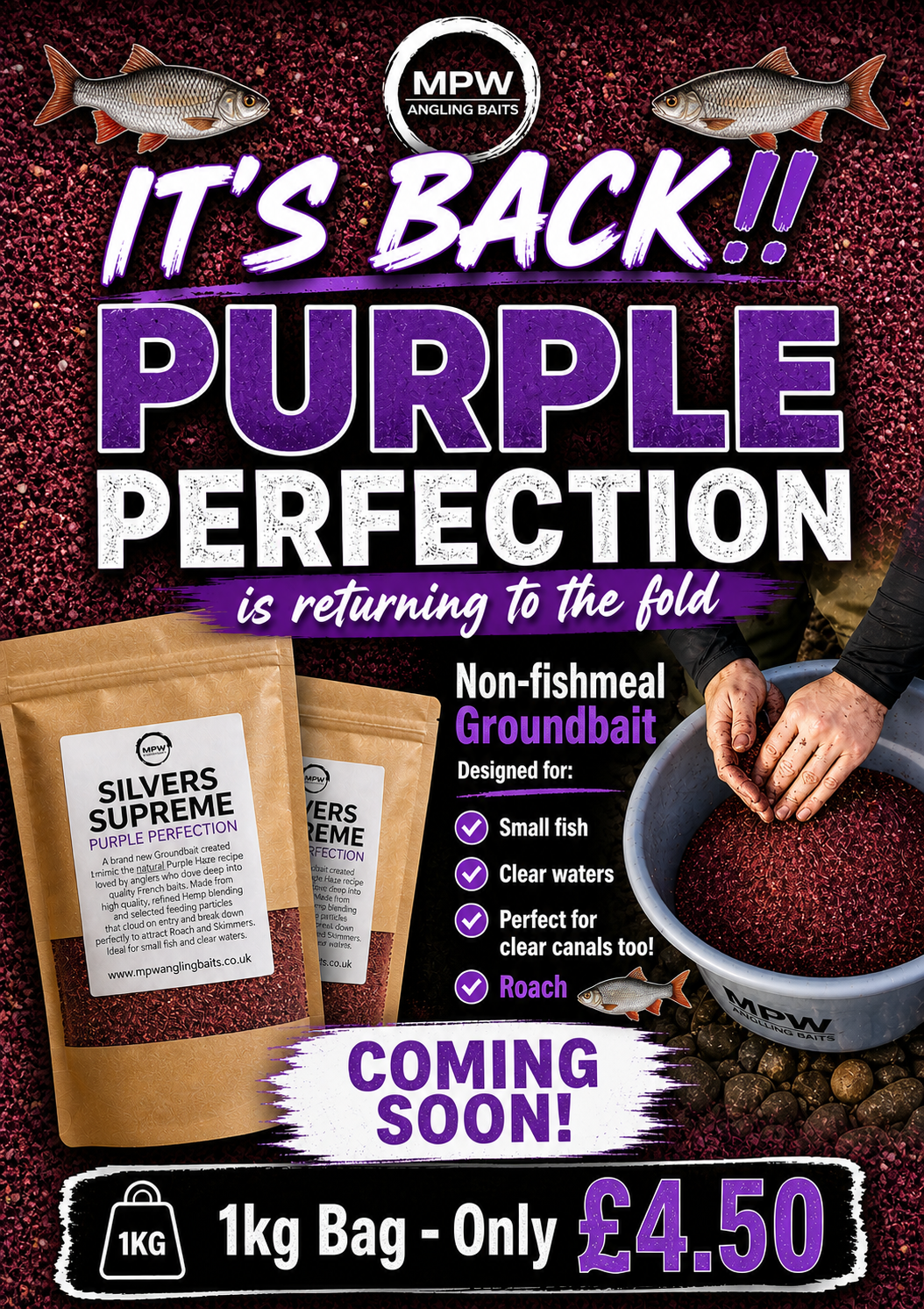 MPW PURPLE PERFECTION GROUNDBAIT 1KG